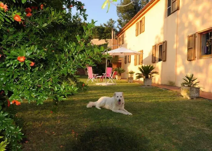 Glicine 3* アンコーナ