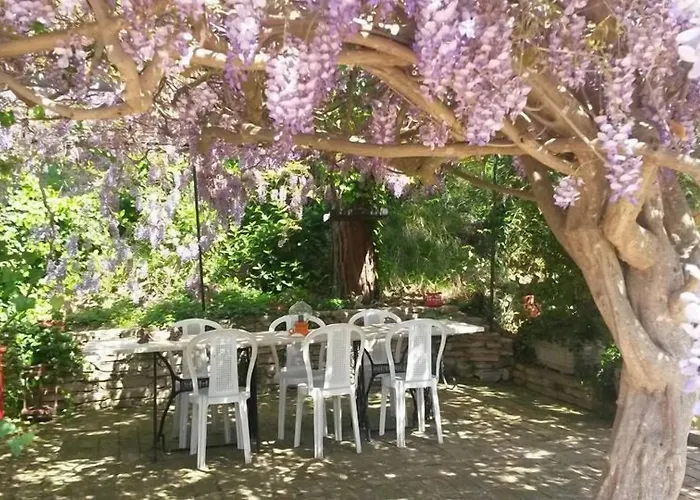 Glicine アンコーナ