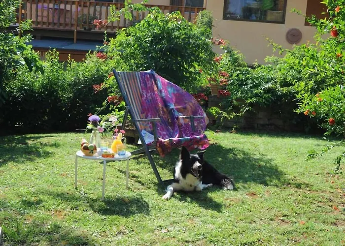 ベッド・アンド・ブレックファスト Glicine アンコーナ