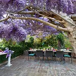 Bed & Breakfast Glicine Ancona