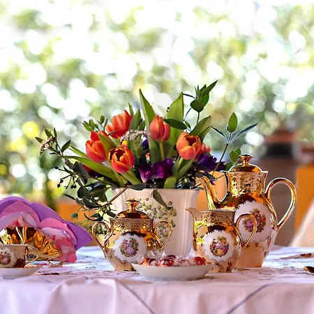 Bed & Breakfast Glicine 4*