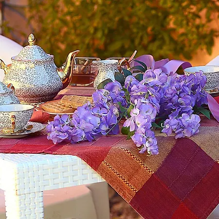 Glicine Bed & Breakfast Ancona