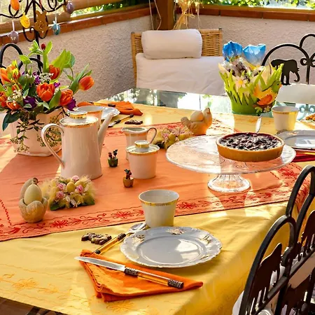 Glicine Анкона