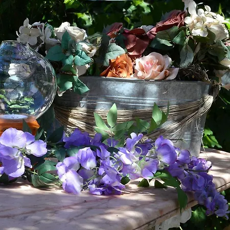 Bed & Breakfast Glicine Ancona