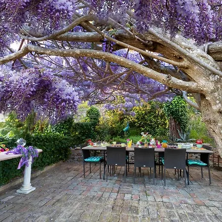 Bed & Breakfast Glicine Ancona