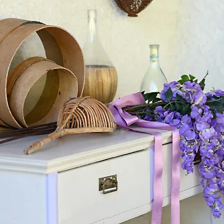 Glicine Анкона