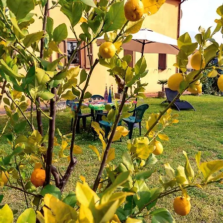 Glicine 4* Ancona