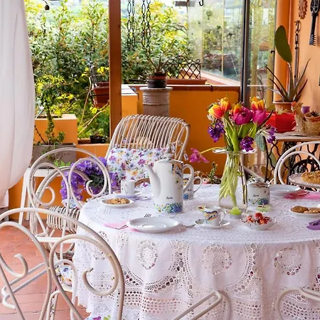 Glicine 4* Ancona