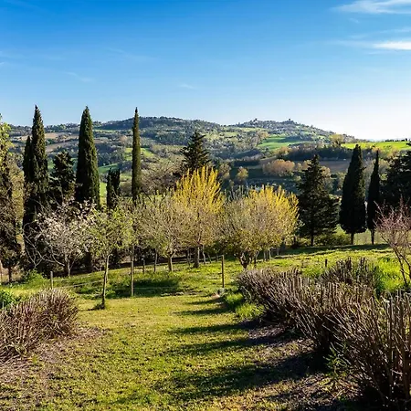Glicine Ancona