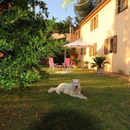 Glicine 3* Анкона