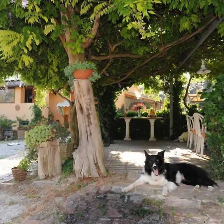 Glicine Отель типа 