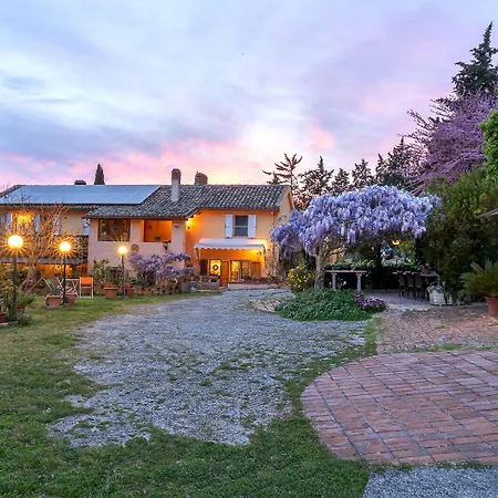 Glicine Анкона