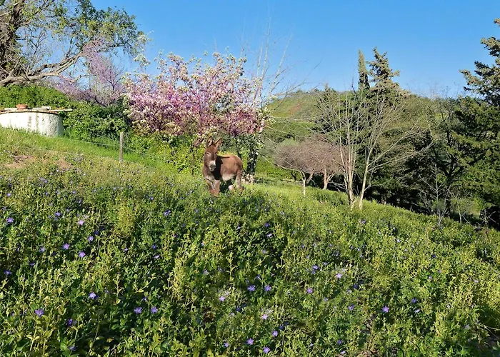 Glicine Bed & Breakfast Ancona