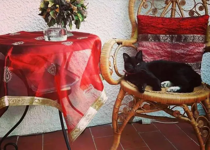 Bed & Breakfast Glicine