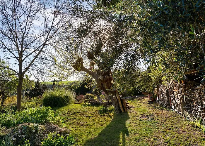 Bed & Breakfast Glicine Ancona