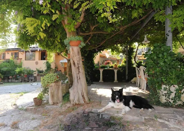 Glicine Bed & Breakfast 3*